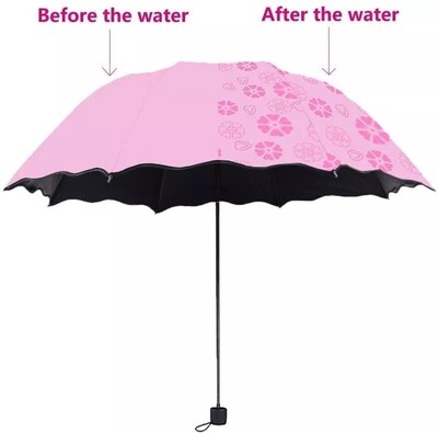 Magic Umbrella (L0227) 